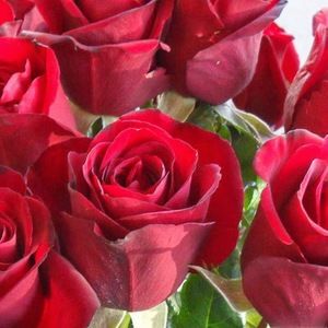 Meet your Posher, Azhar